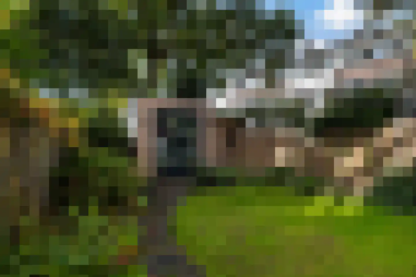 Erasmussingel 48 B Rotterdam thumbnail 31
