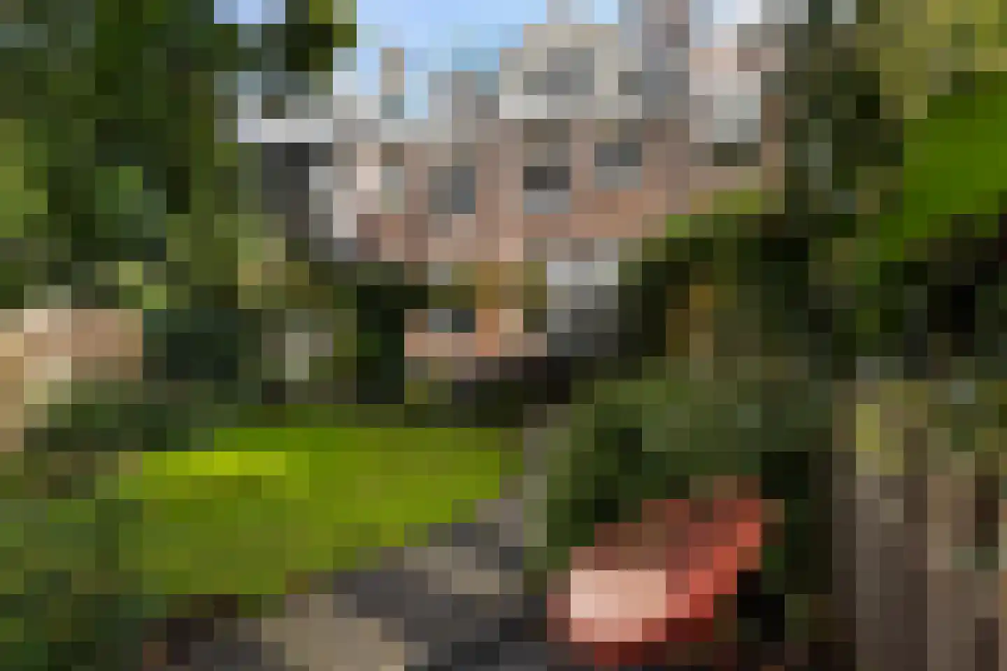 Erasmussingel 48 B Rotterdam thumbnail 33