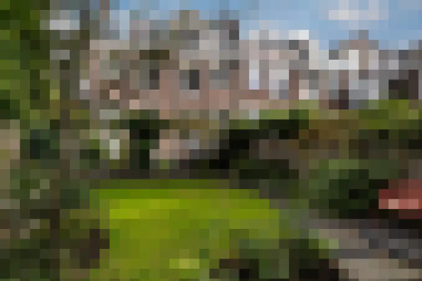 Erasmussingel 48 B Rotterdam thumbnail 34