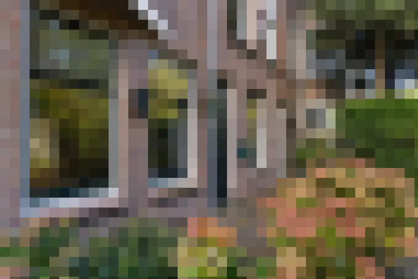 Erasmussingel 48 B Rotterdam thumbnail 35