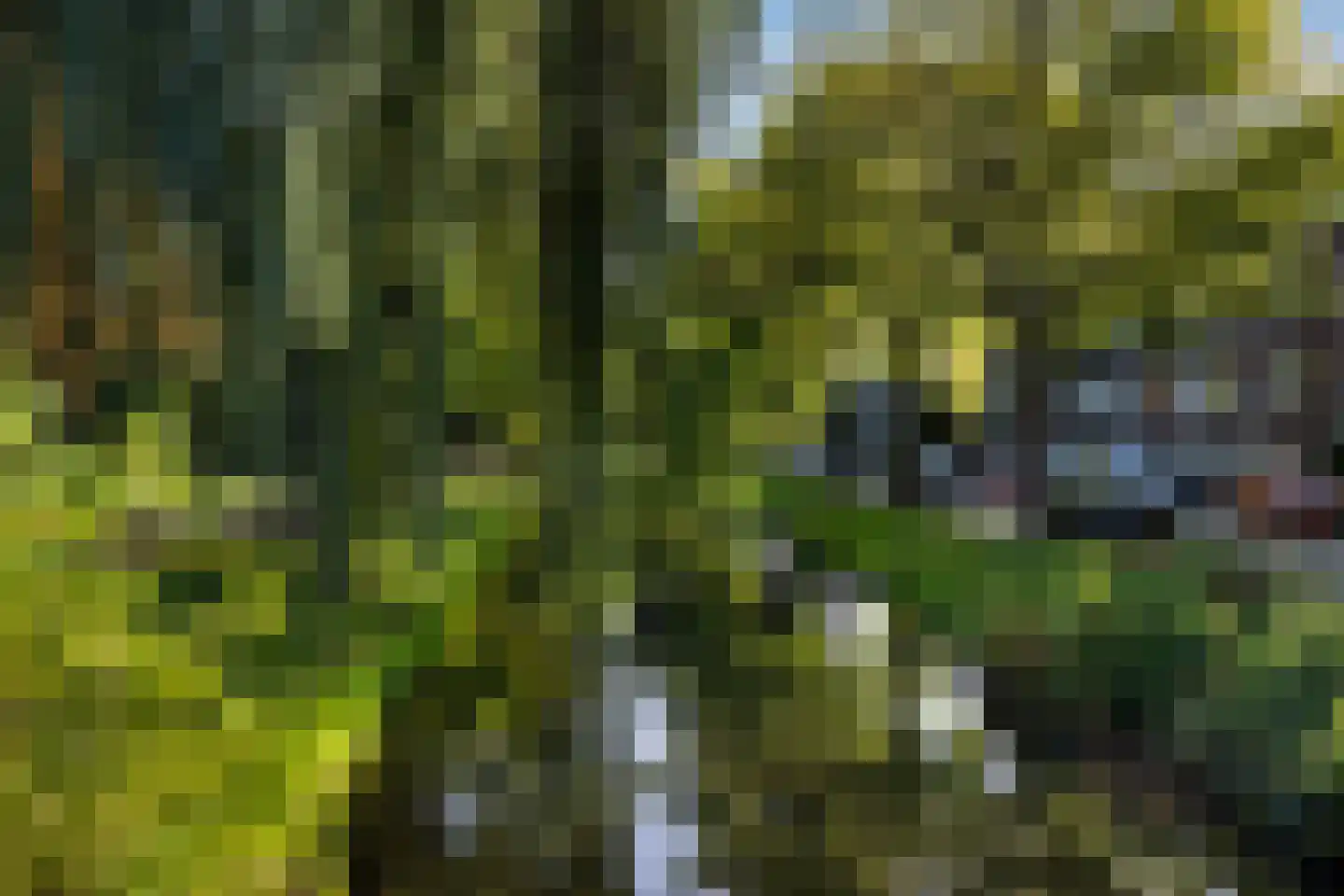 Erasmussingel 48 B Rotterdam thumbnail 42