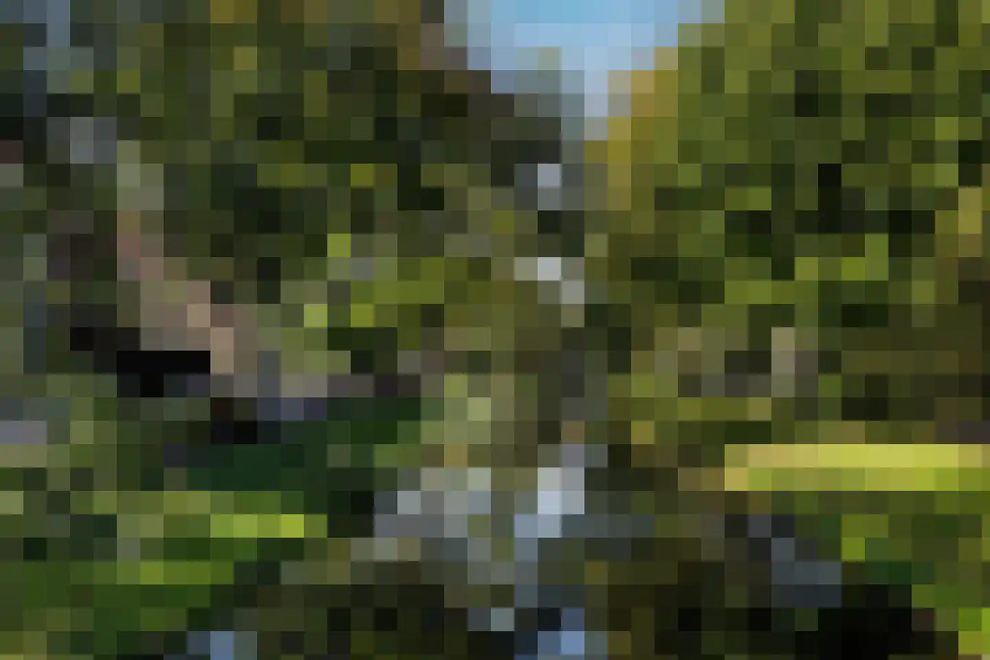 Erasmussingel 48 B Rotterdam thumbnail 43
