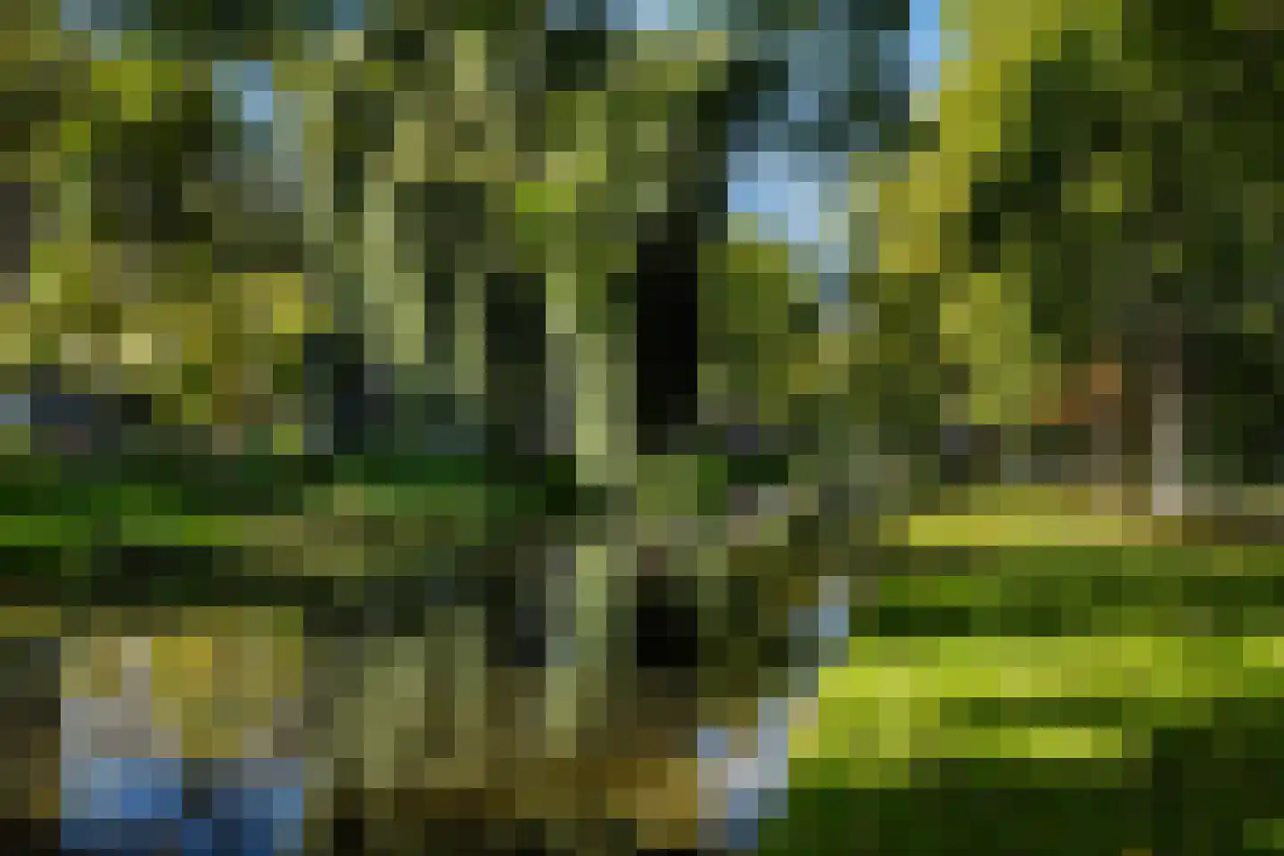 Erasmussingel 48 B Rotterdam thumbnail 44