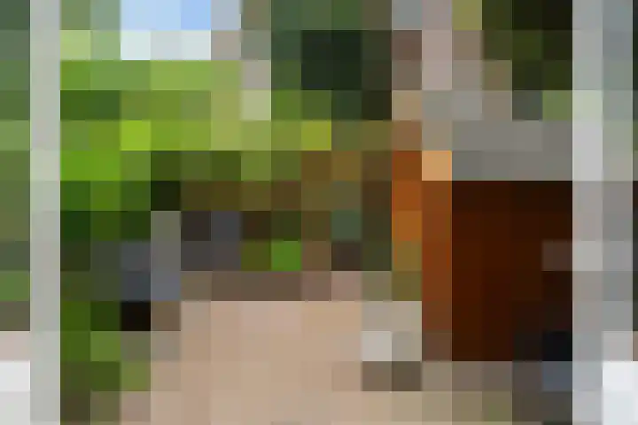 Erasmussingel 54 Rotterdam thumbnail 16