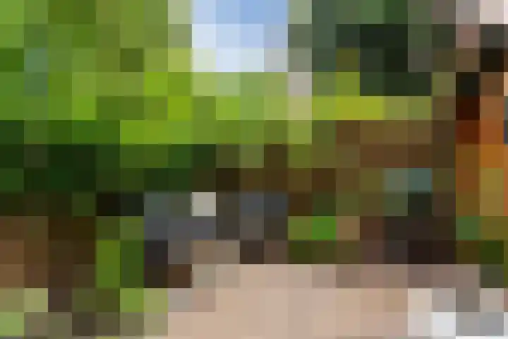 Erasmussingel 54 Rotterdam thumbnail 17