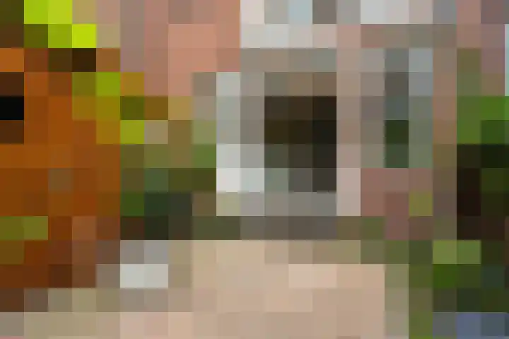 Erasmussingel 54 Rotterdam thumbnail 19
