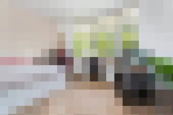 Erasmussingel 54 Rotterdam thumbnail 27