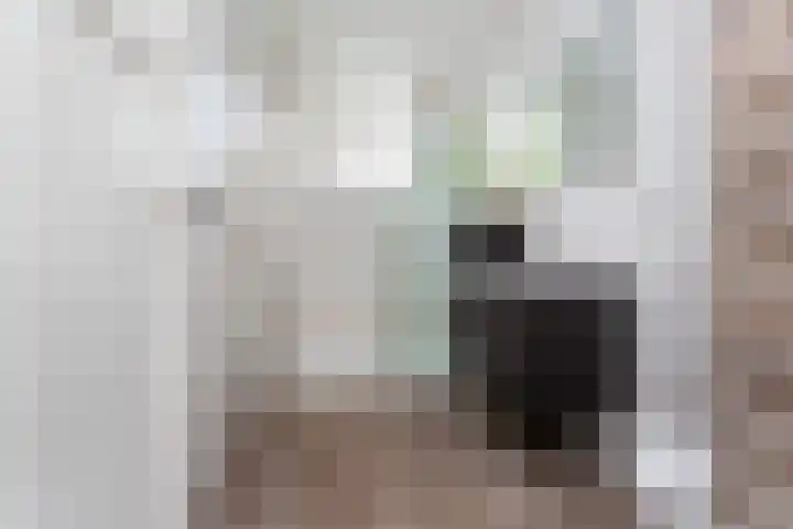 Erasmussingel 54 Rotterdam thumbnail 31