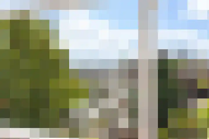 Erasmussingel 54 Rotterdam thumbnail 37