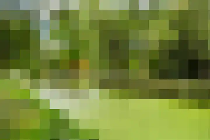 Erasmussingel 54 Rotterdam thumbnail 39