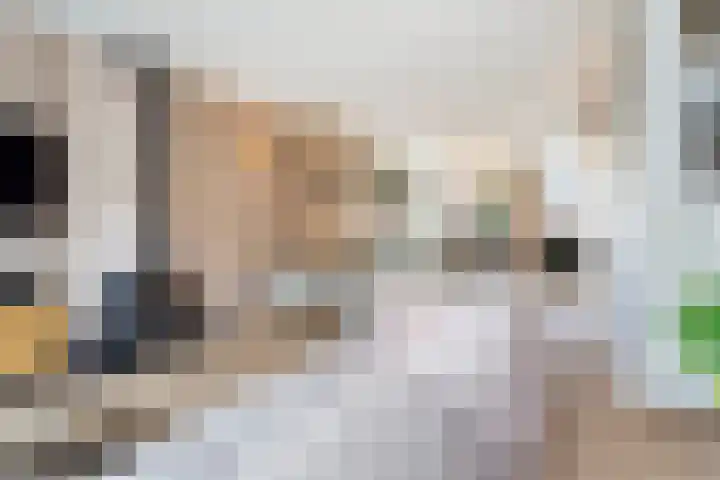 Erasmussingel 54 Rotterdam thumbnail 6