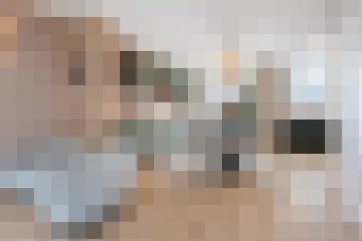 Erasmussingel 54 Rotterdam thumbnail 7