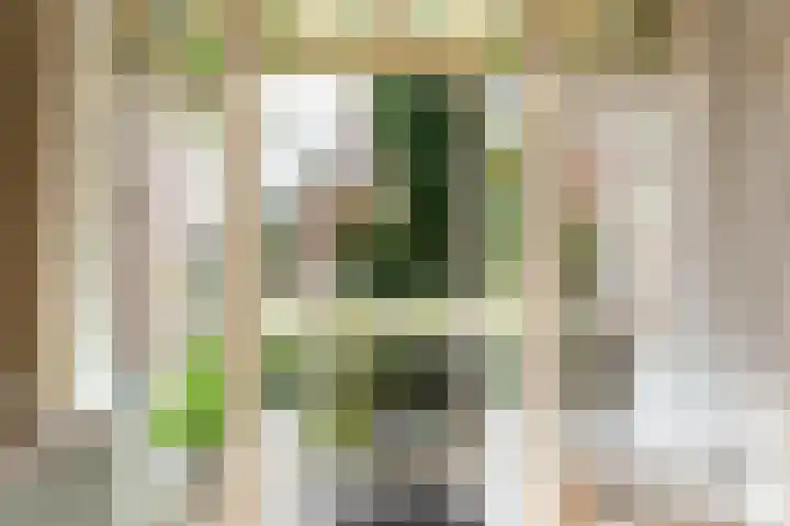 Erasmussingel 54 Rotterdam thumbnail 9