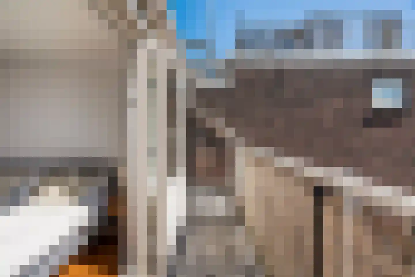 Erasmussingel 60 A Rotterdam thumbnail 26