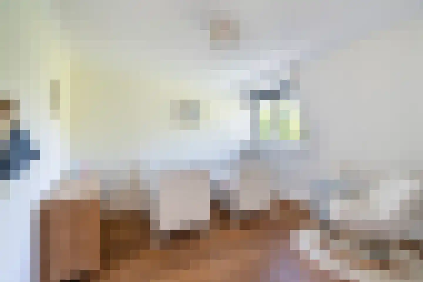 Erasmussingel 60 A Rotterdam thumbnail 29