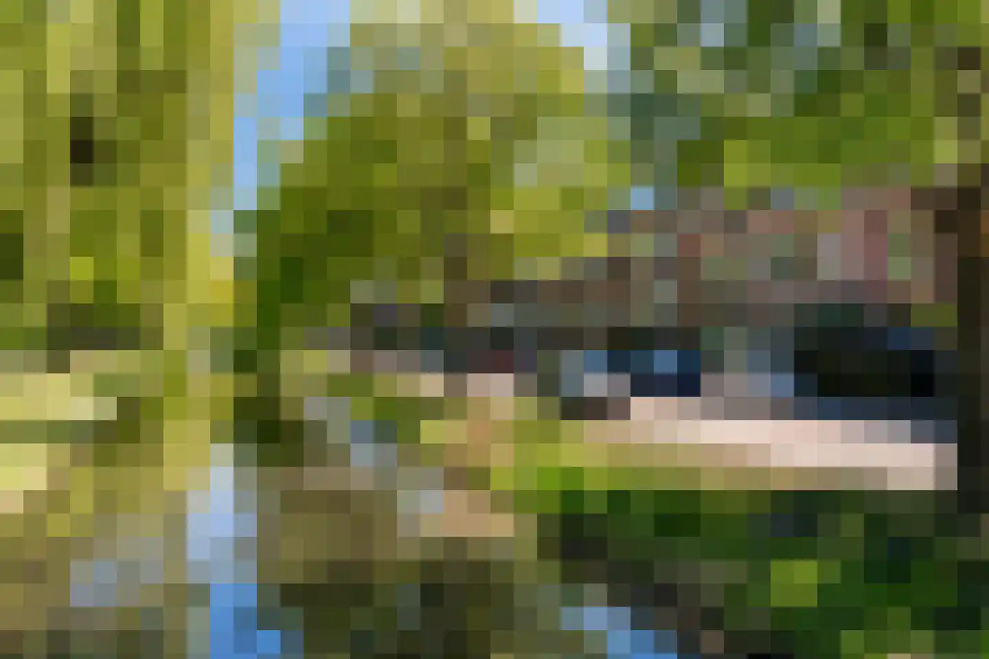 Erasmussingel 60 A Rotterdam thumbnail 34