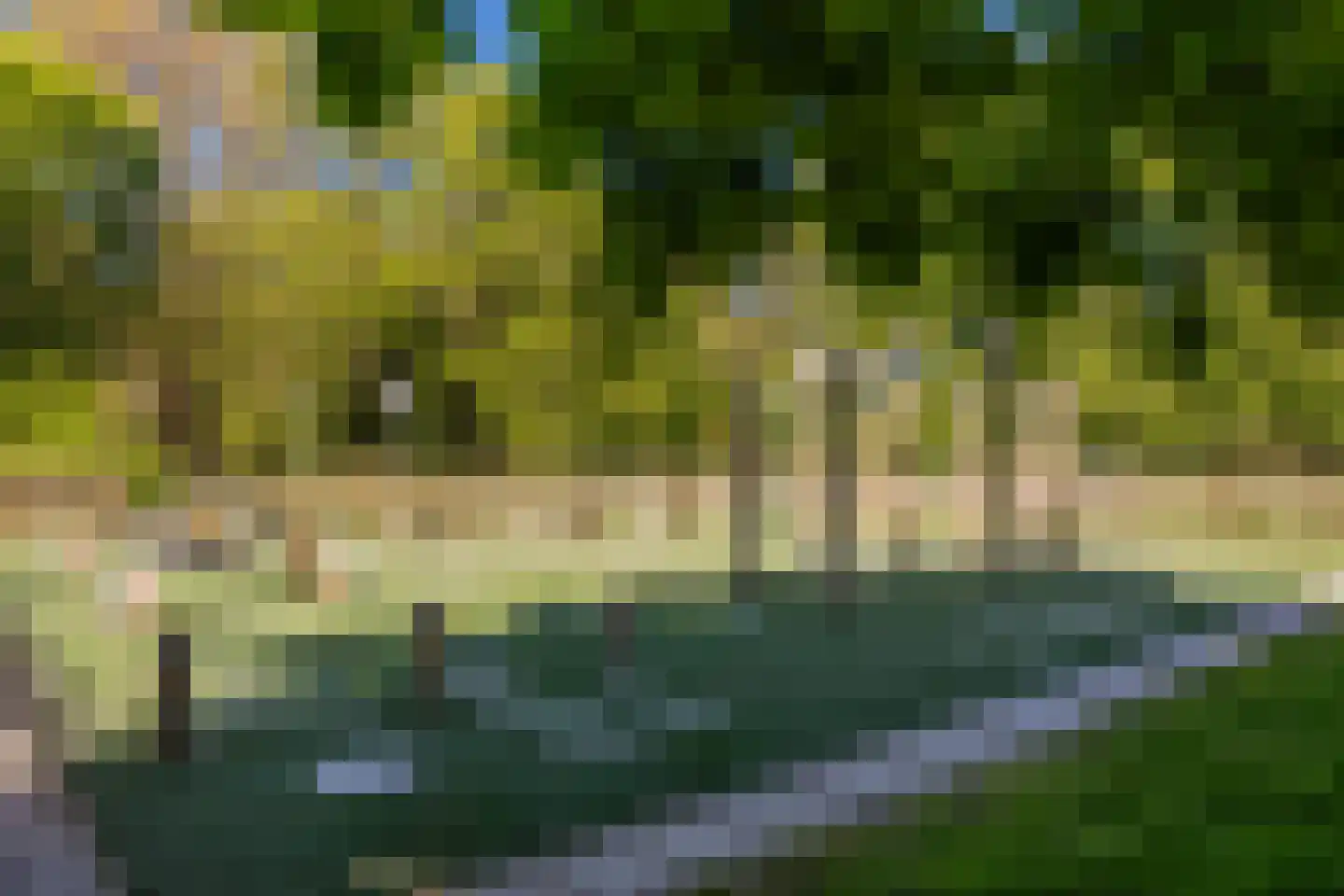 Erasmussingel 60 A Rotterdam thumbnail 36