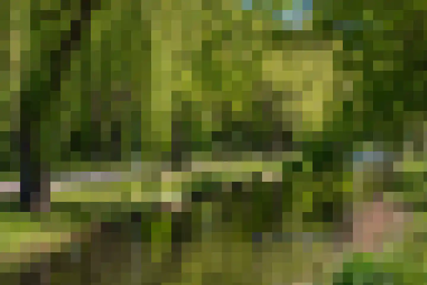 Erasmussingel 60 A Rotterdam thumbnail 39