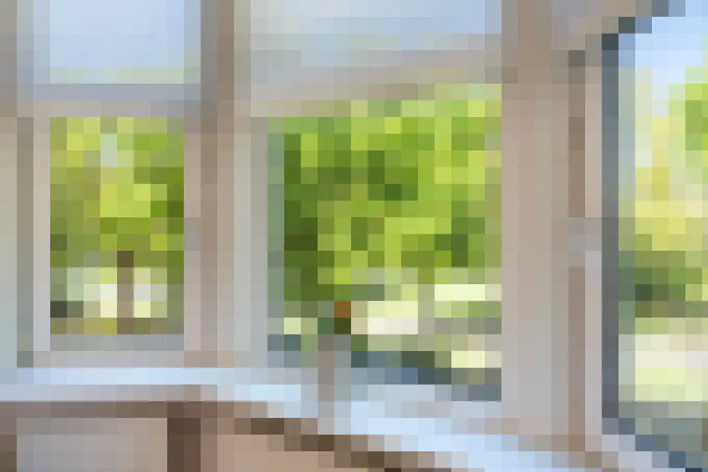 Erasmussingel 60 A Rotterdam thumbnail 8