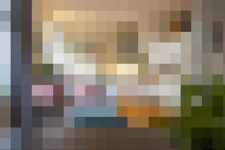 Erasmussingel 74 B Rotterdam thumbnail 12