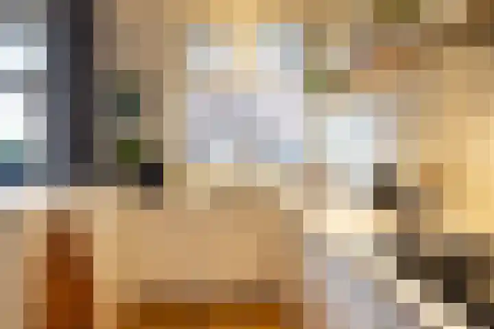 Erasmussingel 74 B Rotterdam thumbnail 13
