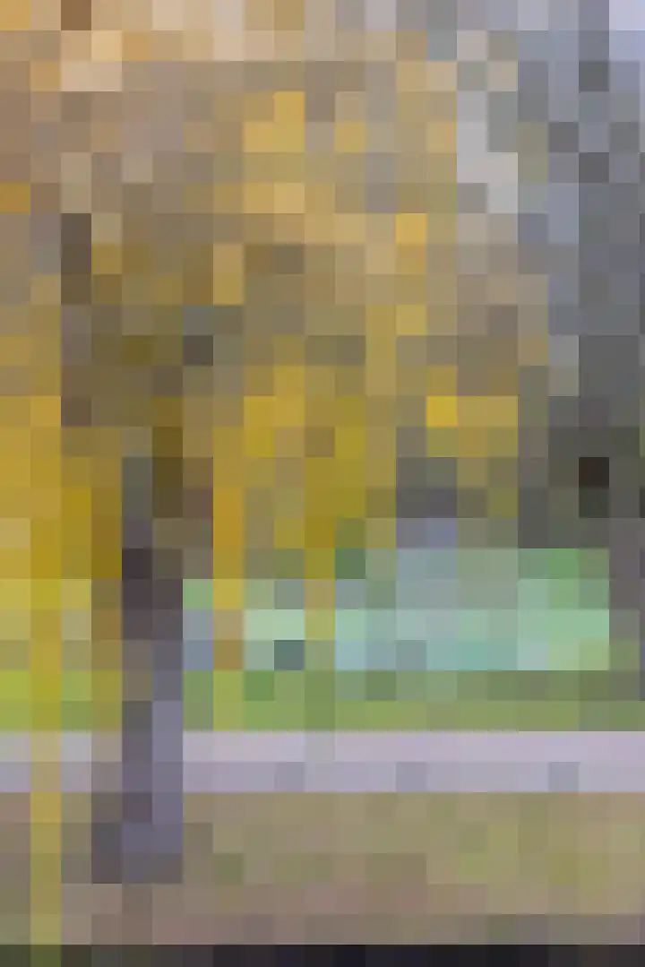 Erasmussingel 74 B Rotterdam thumbnail 20