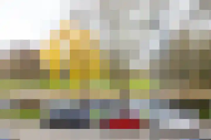 Erasmussingel 74 B Rotterdam thumbnail 24