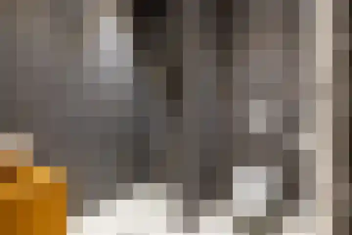 Erasmussingel 74 B Rotterdam thumbnail 26