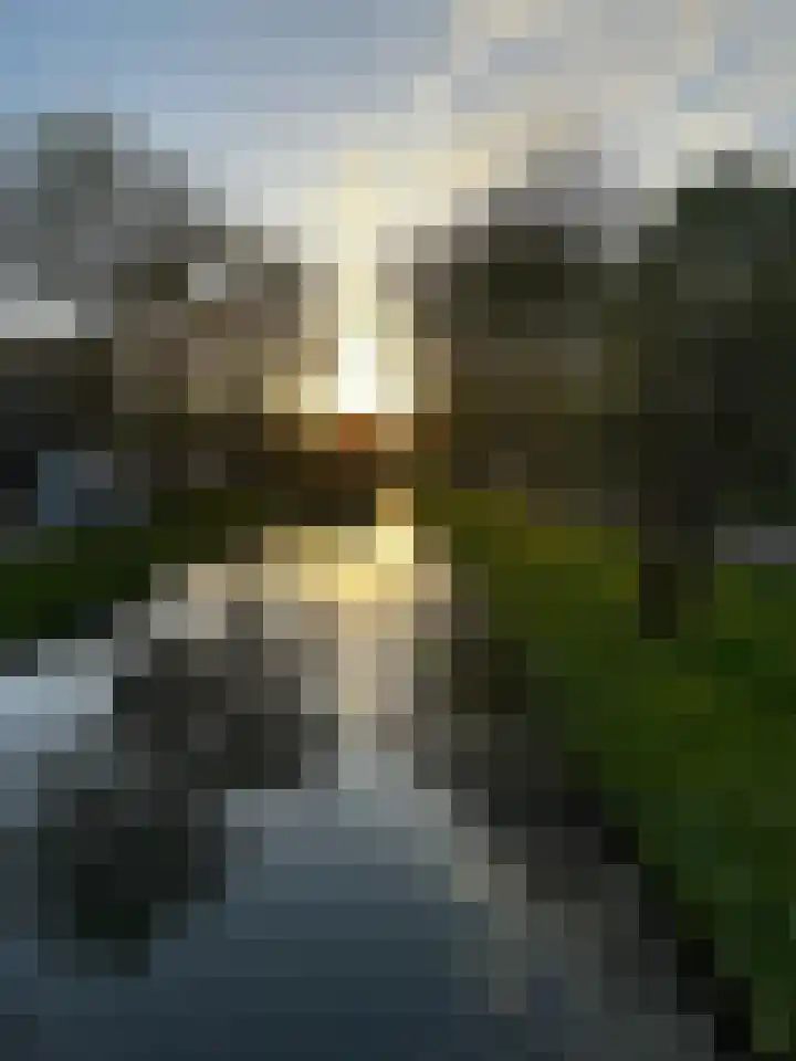 Erasmussingel 74 B Rotterdam thumbnail 38