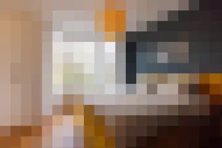 Erasmussingel 74 B Rotterdam thumbnail 5