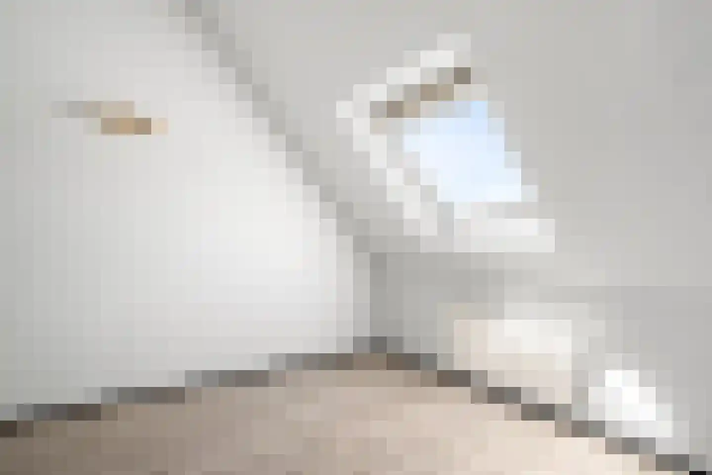 Erasmussingel 92 Arnhem thumbnail 21