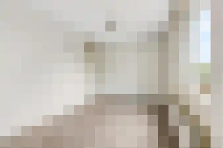 Erasmusstate 46 Ede thumbnail 12