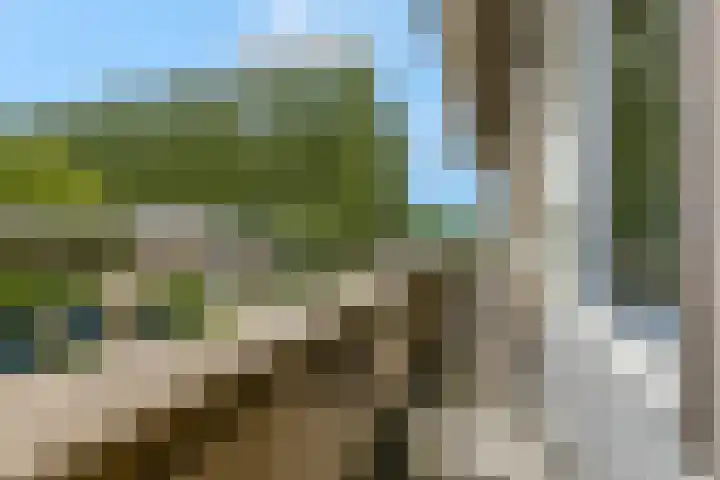 Erasmusstate 46 Ede thumbnail 18