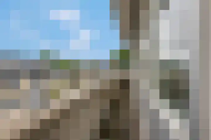 Erasmusstate 46 Ede thumbnail 20