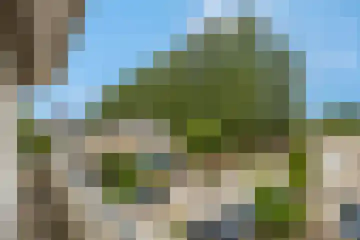 Erasmusstate 46 Ede thumbnail 23