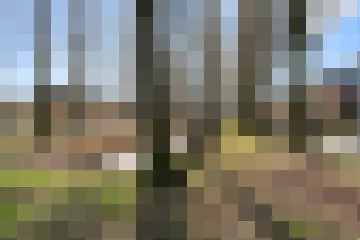 Erasmusstate 48 Ede thumbnail 10