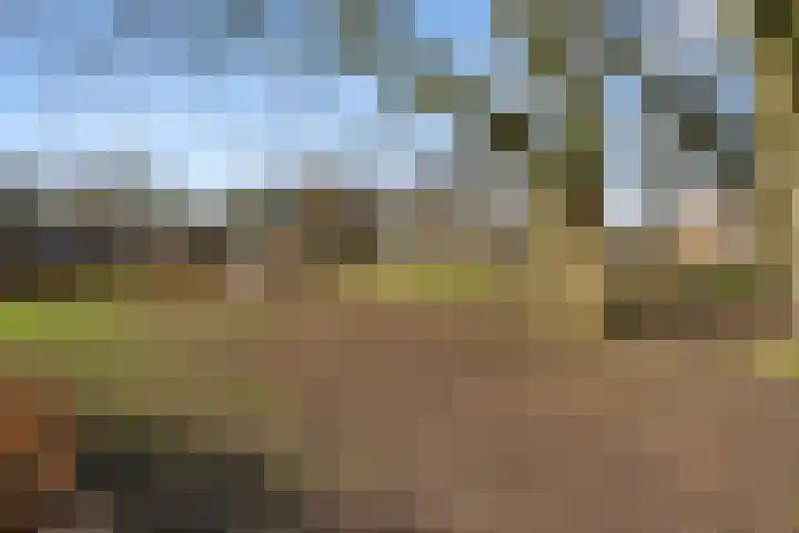 Erasmusstate 48 Ede thumbnail 11