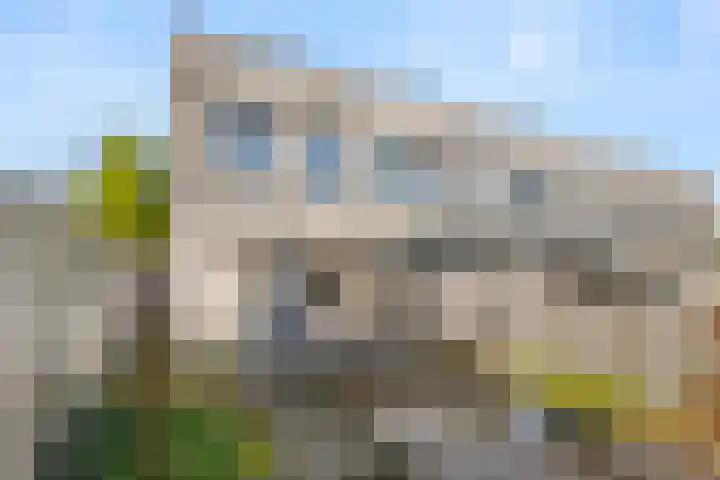 Erasmusstate 48 Ede thumbnail 12