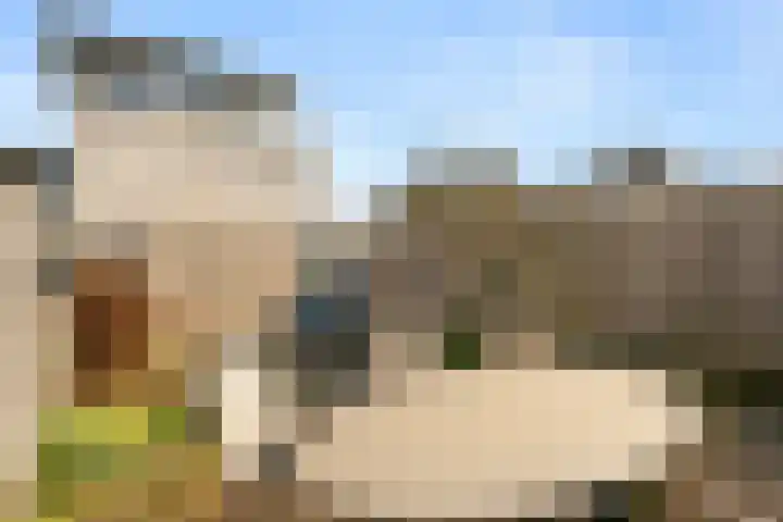 Erasmusstate 48 Ede thumbnail 15