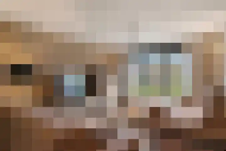 Erasmusstate 48 Ede thumbnail 20
