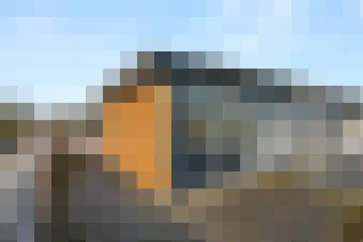 Erasmusstate 48 Ede thumbnail 4