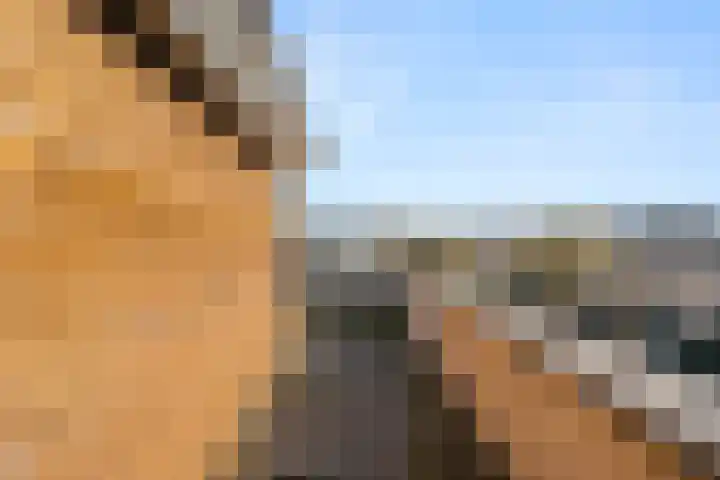 Erasmusstate 48 Ede thumbnail 46