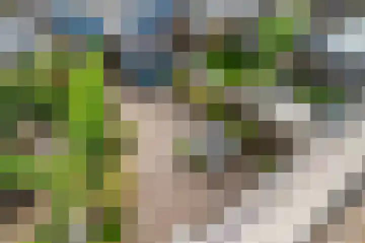 Erasmusstate 54 Ede thumbnail 34