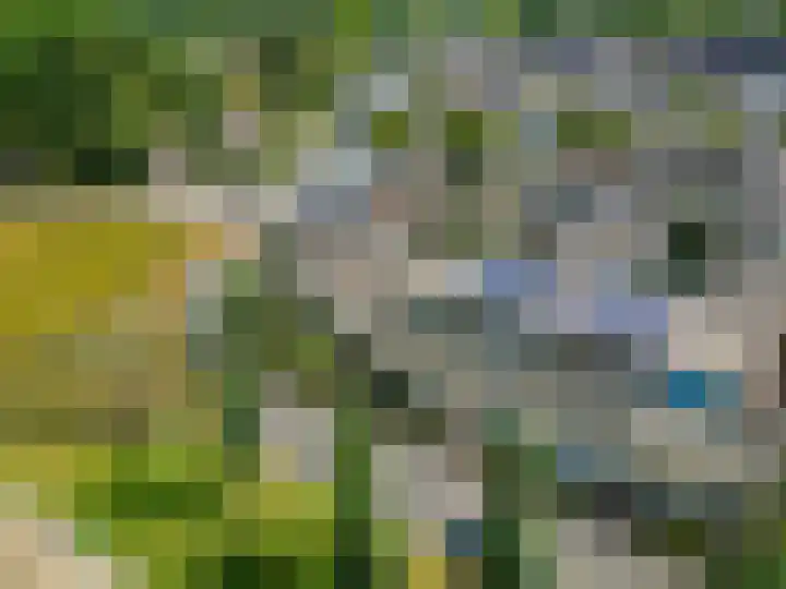Erasmusstate 54 Ede thumbnail 48
