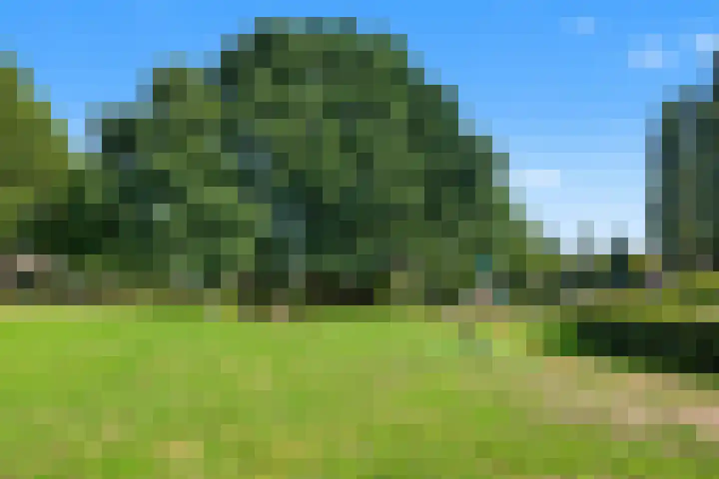 Erasmusstate 69 Ede thumbnail 38
