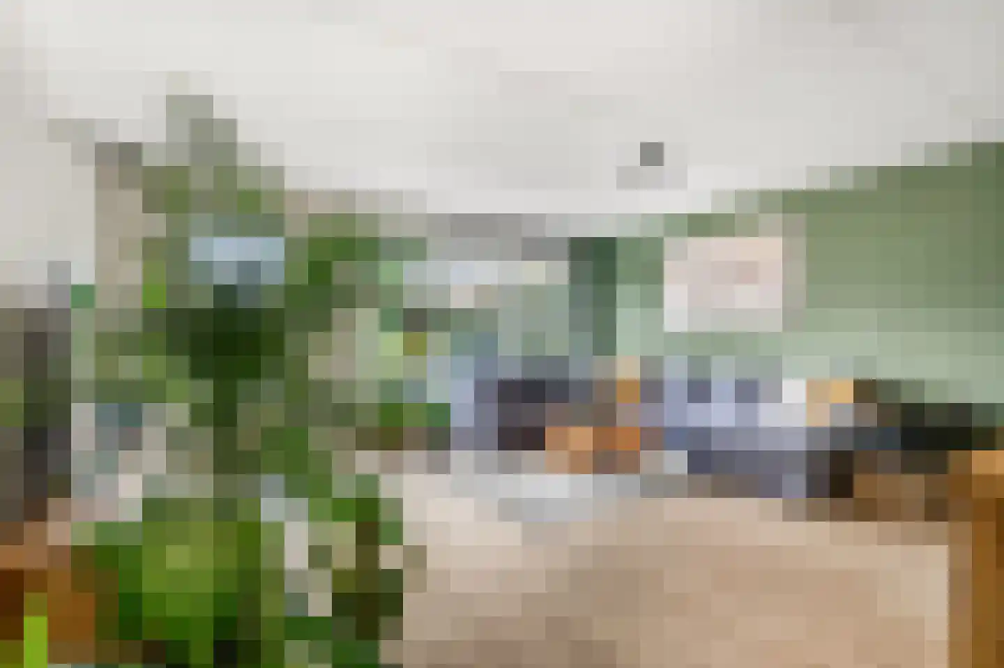 Erasmusstate 98 Ede thumbnail 4