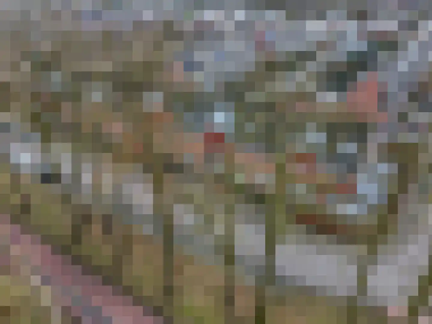 Erasmusstate 98 Ede thumbnail 43