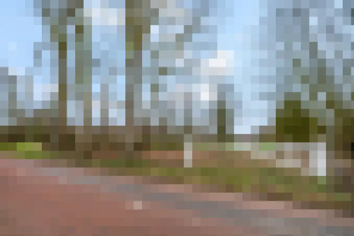 Erasmusstate 98 Ede thumbnail 46