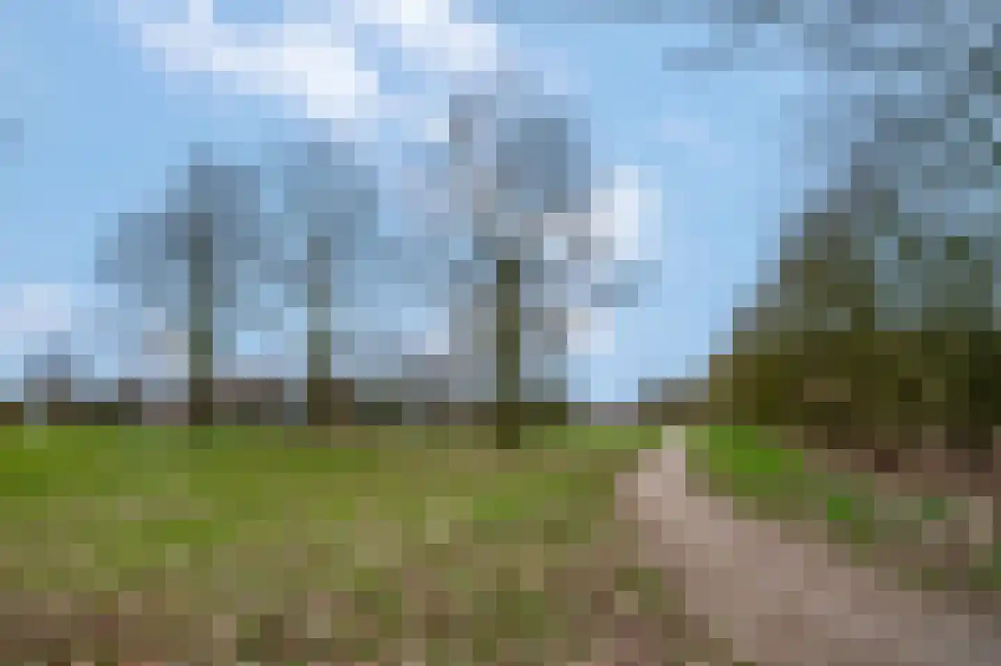 Erasmusstate 98 Ede thumbnail 47