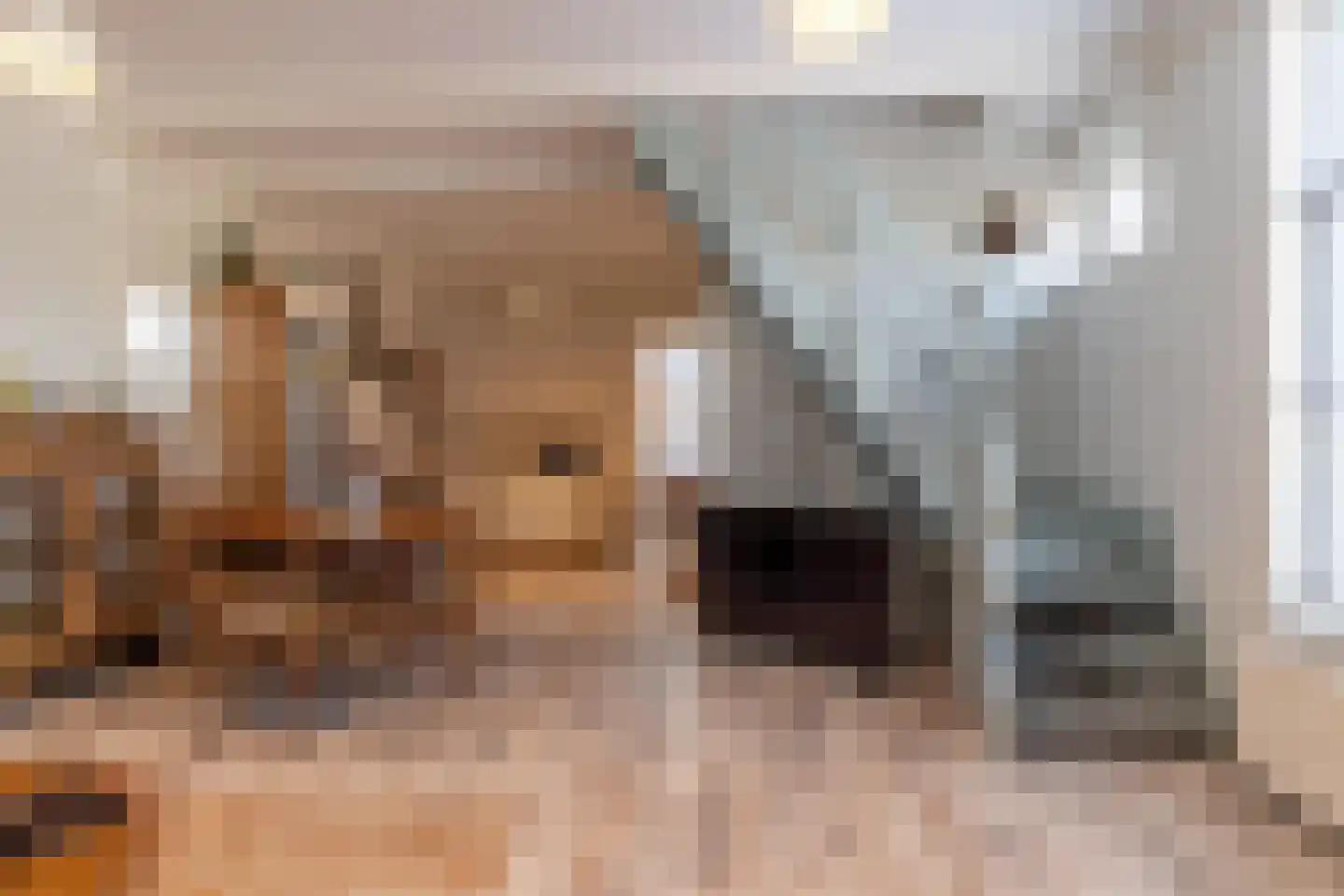Erasmusstraat 1 A Balk thumbnail 10